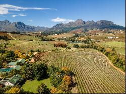 Red wine Boutique Winery in premium tourist position, surrounded by renowned world class 