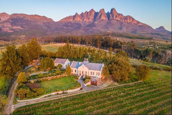 Lifestyle vineyard farm in the Cape Winelands