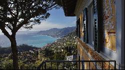 Apartment in Villa with Garden and Stunning Sea view in Camogli