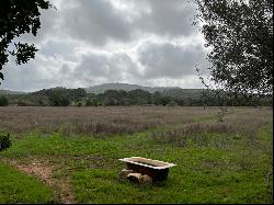 Rustic plot with possibility to build for sale in Cas Concos, Fe, Felanitx 07200