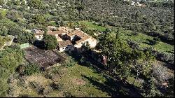 Picturesque finca on huge piece of land for sale near Binissalem, Binissalem 07350