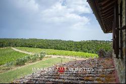 Chianti Classico - WINE ESTATE WITH 25.8 HA OF VINEYARDS FOR SALE IN GREVE, TUSCANY