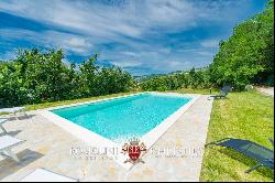 Umbria - BOUTIQUE WINERY WITH 2.4 HA OF VINEYARDS FOR SALE IN TODI