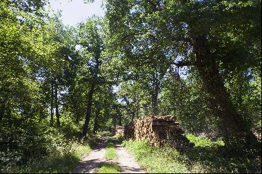 Sologne – A remarkable 305 hectare property 2h from Paris