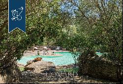 Fantastic property with a pool for sale in Costa Smeralda