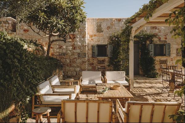 Casa la Ginestra, immersed in a farm and surrounded by olive trees
