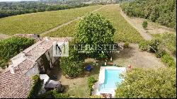 Property with panoramic views, gîte, 10-ha organic vineyard. Great potential !