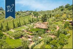 Prestigious property with a park, olive grove and vineyard for sale in Prato
