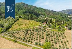Prestigious country home for sale on the slopes of Tuscan hills in Versilia