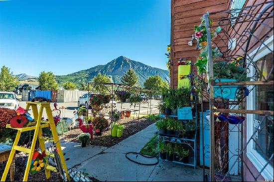717 Sixth Street #Unit B, Crested Butte CO 81224