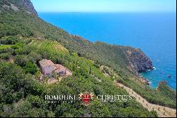 Argentario - SEA VIEW VILLA WITH GUESTHOUSE FOR SALE ON THE TUSCAN COAST