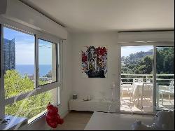 Beausoleil - near Monaco - 2 rooms sea view - quiet - swimming pool - garage - cellar