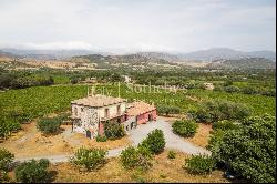 Estate with 8 units, pool, and view of Mount Etna