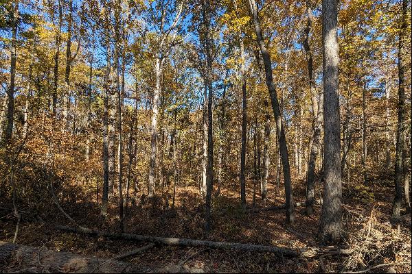 Wooded 4 +/- Acre Lot - Bring Your Builder or Plans