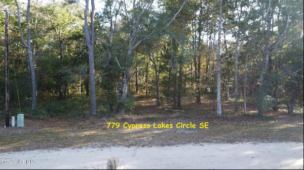 779 Cypress Lakes Circle SE, Bolivia NC 28422