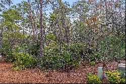 Homesite In Gated Community With No Short-Term Rentals