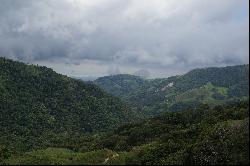 Monteverde Rolling Hills and Jungle
