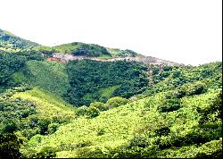Monteverde Rolling Hills and Jungle