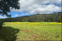 A UNIQUE Opportunity To Own A Piece of the Privately Owned Island of Lanai