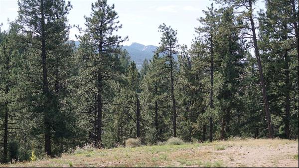 Ideal Homesite Ready For Your Mountain Home/Cabin/RV!