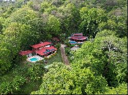 Santa Teresa Tropical Jungle Retreat