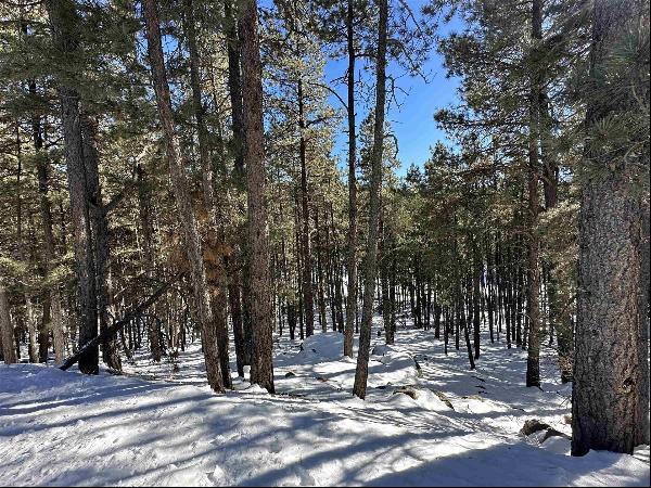 Lot 60 San Andres Dr, Angel Fire NM 87710