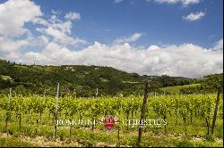 Umbria - ORGANIC WINE ESTATE WITH 4.5 HA OF VINEYARDS FOR SALE IN MONTONE