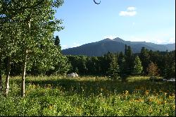 1.5 Acre Property Situated On The Gunnison National Forest Boundary