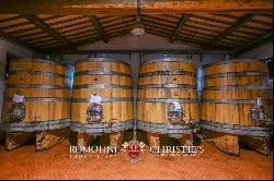 Tuscany - WINE ESTATE WITH 25.1 HA OF VINEYARDS FOR SALE IN CHIANTI ARETINO