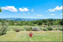 Chianti - AGRITURISMO WITH DOCG VINEYARDS FOR SALE BETWEEN AREZZO AND FLORENCE
