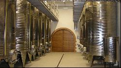 Il Toscano Winery, Montalcino, Siena - Tuscany