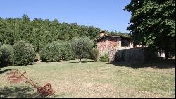 Le Pietre Vive Country House, Città di Castello, Perugia - Umbria