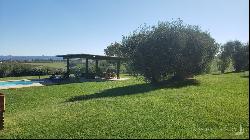 Villa Il Fienile with pool, annex and olive grove, Cortona - Tuscany