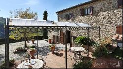Country villa with pool and vineyard, Gaiole in Chianti - Tuscany