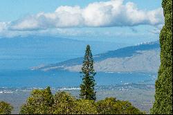 Build your dream home on this 0.80 acre lot in Upcountry Maui