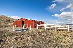 Horse property on 49 acres