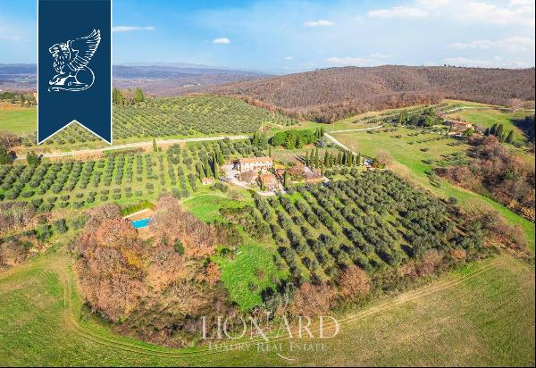 Wonderful Tuscan farmstead producing Chianti wine and extra-virgin olive oil for sale in S