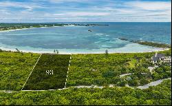 Estate Lot 55 The Abaco Club - MLS 56982