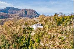 Losone: beautiful villa to be renovated surrounded by greenery for sale