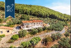 Elegant agritourism resort with an olive grove for sale in Monsummano Terme