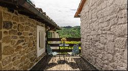 Villa Fontanelle with bio-pool and view of Poppi castle - Tuscany