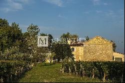 For sale beautiful turnkey lifestyle passion vineyard estate on the banks of the Dordogne