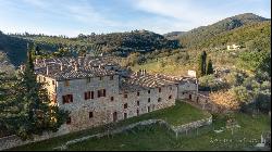 Chianti Classico Organic Farm, Castelnuovo Berardenga–Tuscany
