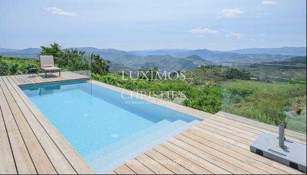 Property with vineyards and swimming pool, in Provesende, Douro Valley, Portugal