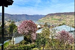 Dream property with house in a prime location in Bingen
