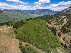 F26 Prospect Drive, Mount Crested Butte, CO 81225