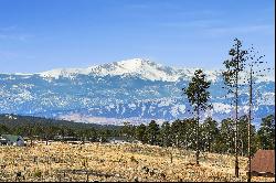 Over 7.5 acres and jaw dropping, Pikes Peak views  located in Black Forest