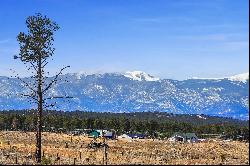 Over 7.5 acres and jaw dropping, Pikes Peak views  located in Black Forest