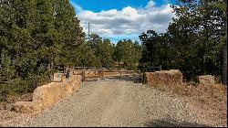 43 Silver Feather Trail, Pecos NM 87552