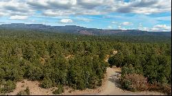 43 Silver Feather Trail, Pecos NM 87552